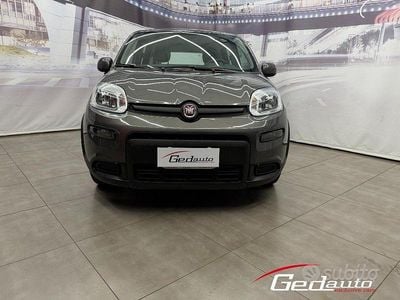 Usata Fiat Panda City Life 70 CV (51 kW) 2023 Grigio Utilitaria