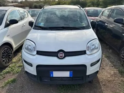 Usata Fiat Panda S 70 CV (51 kW) 2024 Bianco Utilitaria