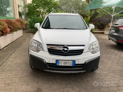 Occasion Opel Antara Edition+ 127 ch (93 kW) 2010 Blanc SUV