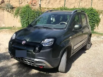 Usata Fiat Panda Cross Cross 90 CV (66 kW) 2015 Verde Utilitaria