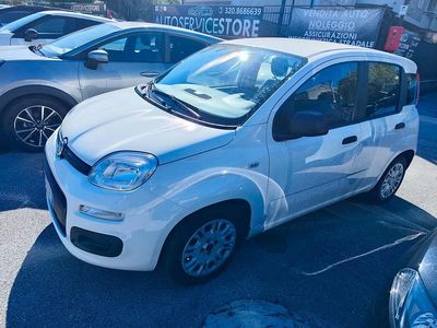Usata Fiat Panda Easy 70 CV (51 kW) 2021 Bianco Utilitaria