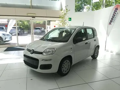 Nuova Fiat Panda Icon 65 CV (47 kW) 2026 Bianco pastello Utilitaria
