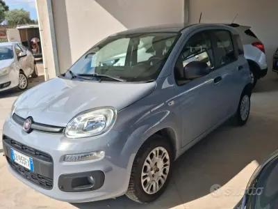 Usata Fiat Panda Lounge 69 CV (50 kW) 2020 Grigio Utilitaria