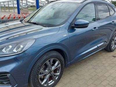 usata Ford Kuga 2.0 ecoblue mhev ST-Line 2wd 150cv