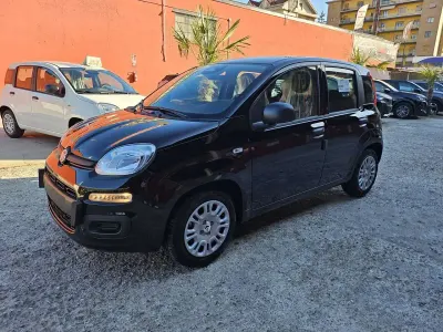 Nuova Fiat Panda Icon 65 CV (47 kW) 2026 Nero Utilitaria