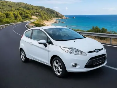 Usata Ford Fiesta