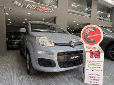 Usata Fiat Panda Easy 69 CV (50 kW) 2019 Grigio Utilitaria