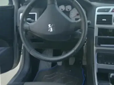 Usata Peugeot 307
