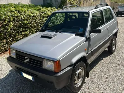Usata Fiat Panda 4x4 Trekking 54 CV (39 kW) 2002 Argento Utilitaria