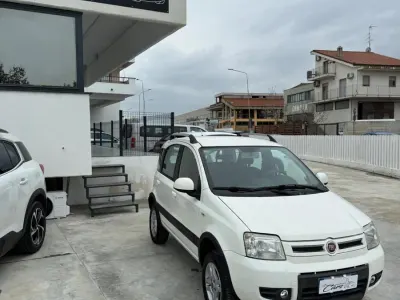 Usata Fiat Panda 4x4 Climbing 75 CV (55 kW) 2011 Bianco Utilitaria