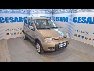 Usata Fiat Panda 4x4 Climbing 69 CV (50 kW) 2010 Beige spumeggiante (metallizza Utilitaria