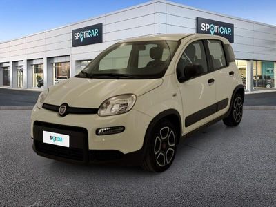 usata Fiat Panda 1.0 FireFly 70cv S&S Hybrid City Life