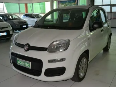 Usata Fiat Panda 70 CV (51 kW) 2022 Bianco Utilitaria