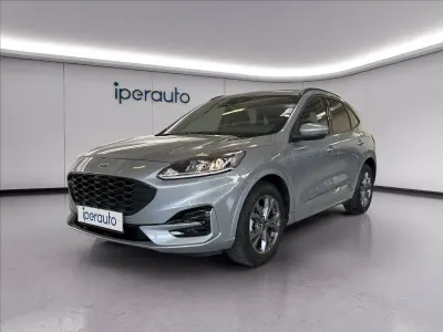 Usata Ford Kuga ST-Line 190 CV (139 kW) 2023 Argento SUV