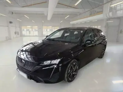Usata Peugeot 308