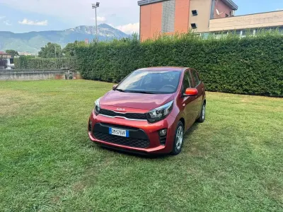 Usata Kia Picanto Urban 67 CV (49 kW) 2023 Arancione Utilitaria