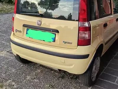 Usata Fiat Panda Dynamic 60 CV (44 kW) 2009 Giallo Utilitaria