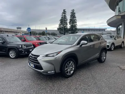 Usata Lexus NX300h Executive Line 155 CV (114 kW) 2016 Grigio SUV