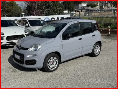 Usado Fiat Panda 69 HP (50 kW) 2019 Cinzento Citadino