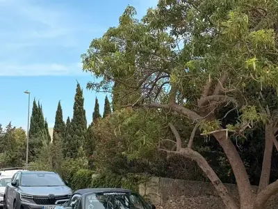 Usata Mazda MX5