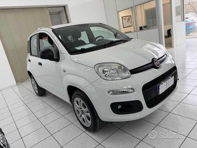 Usata Fiat Panda Easy 84 CV (61 kW) 2019 Bianco Utilitaria
