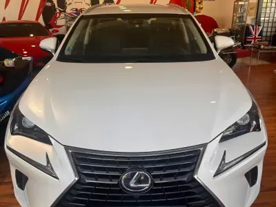 Usata Lexus NX300h