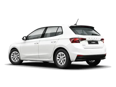 Usata Skoda Fabia