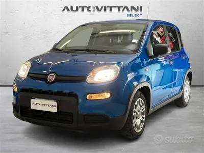 Usata Fiat Panda S 70 CV (51 kW) 2024 Blu chiaro Utilitaria
