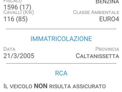 usata BMW 116 116i cat 5 porte Eletta