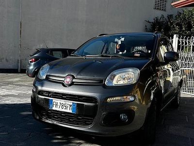 Usata Fiat Panda 69 CV (50 kW) 2017 Utilitaria