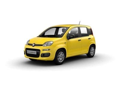 Nuova Fiat Panda Icon 65 CV (47 kW) 2026 Giallo Utilitaria