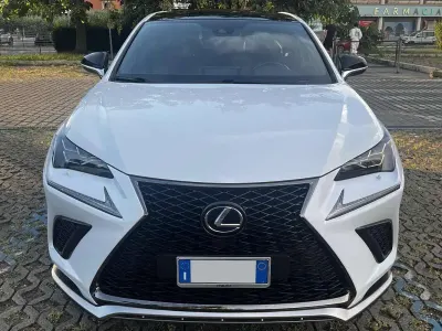 Usata Lexus NX300h Sport Line 197 CV (144 kW) 2020 Bianco SUV