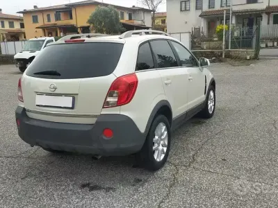 Usata Opel Antara Cosmo 163 CV (119 kW) 2013 Bianco SUV