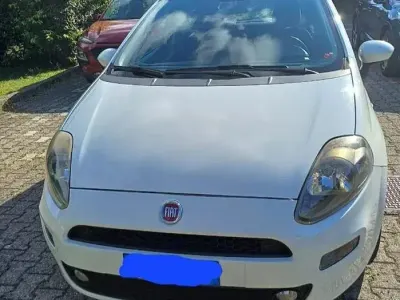 Usata Fiat Punto 69 CV (50 kW) 2013 Bianco Utilitaria
