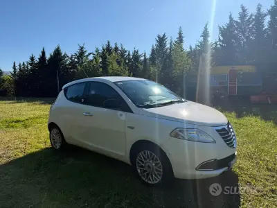 Usata Lancia Ypsilon Platinum 69 CV (50 kW) 2013 Bianco Utilitaria