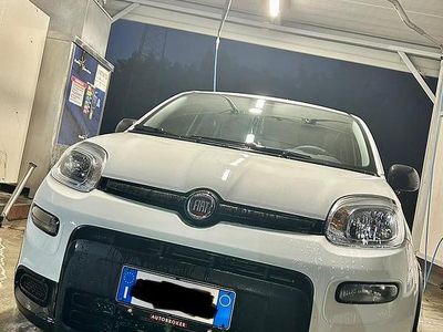 Usata Fiat Panda 70 CV (51 kW) 2023 Bianco Utilitaria