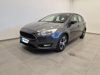 Usata Ford Focus S 101 CV (74 kW) 2015 Grigio Berlina