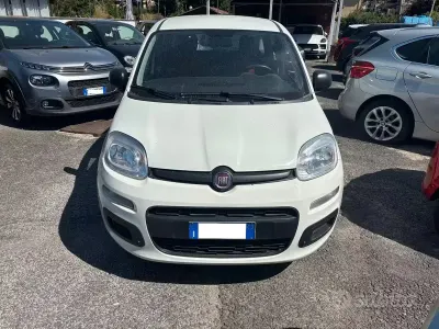 Usata Fiat Panda Easy 69 CV (50 kW) 2020 Bianco Utilitaria