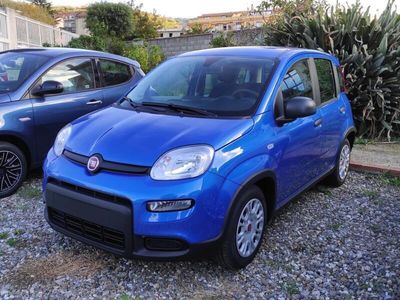 usata Fiat Panda 3ª serie 1.0 FireFly S&S Hybrid