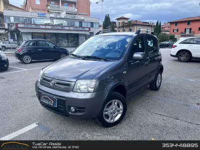 Gebraucht Fiat Panda 4x4 Climbing 75 PS (55 kW) 2011 Grau Kleinwagen