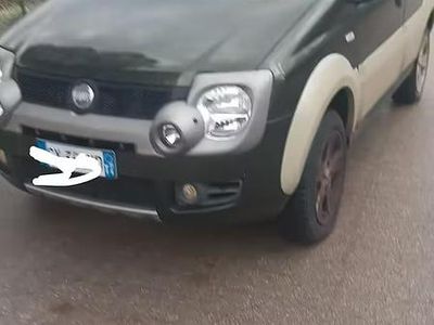 Usata Fiat Panda Cross 2006 Verde Utilitaria