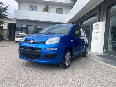 Nuova Fiat Panda Icon 69 CV (50 kW) 2025 Blu/azzurro Utilitaria