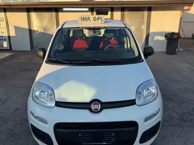 Usata Fiat Panda Easy 69 CV (50 kW) 2019 Bianco Utilitaria