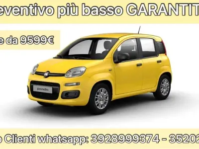 Usata Fiat Panda