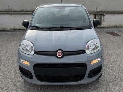Usata Fiat Panda Easy 80 CV (58 kW) 2017 Utilitaria