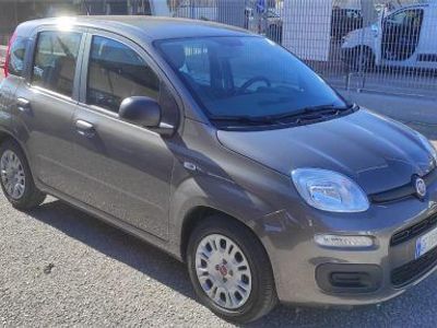 usata Fiat Panda Panda 3ª serie1.0 FireFly S&S Hybrid - USATO CityCar