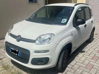 Usata Fiat Panda Pop 69 CV (50 kW) 2013 Bianco Utilitaria