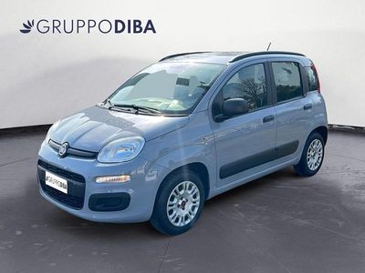 Usata Fiat Panda Easy 69 CV (50 kW) 2019 Grigio Utilitaria