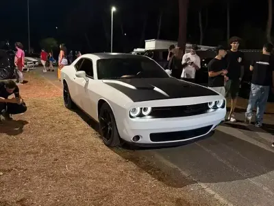 Usata Dodge Challenger 2018 Bianco Coupé