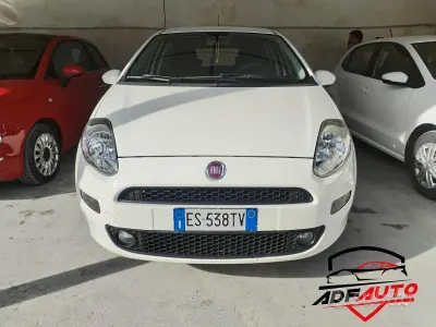 Usata Fiat Punto Lounge 95 CV (69 kW) 2013 Bianco Utilitaria